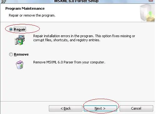 Repair the file “MSXML” of Microsoft