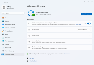 Update Windows  Operating System